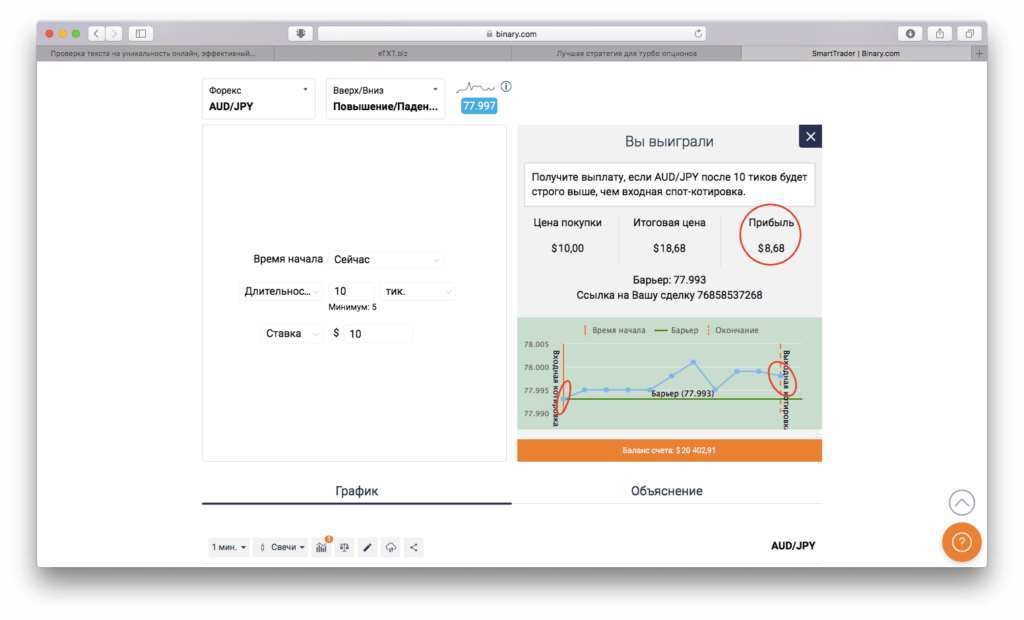 прибыль от турбо торговли
