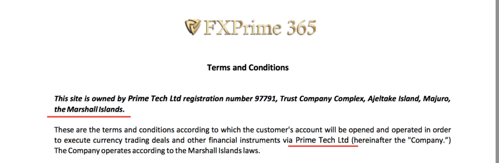 материнская компания