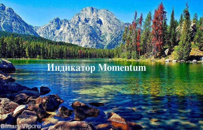 Особенности применения и возможности индикатора Momentum