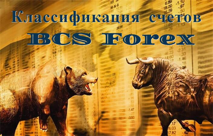 Торговые счета БКС Форекс: краткий обзор и рекомендации
