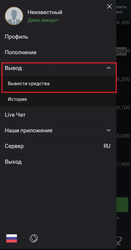 раздел вывод