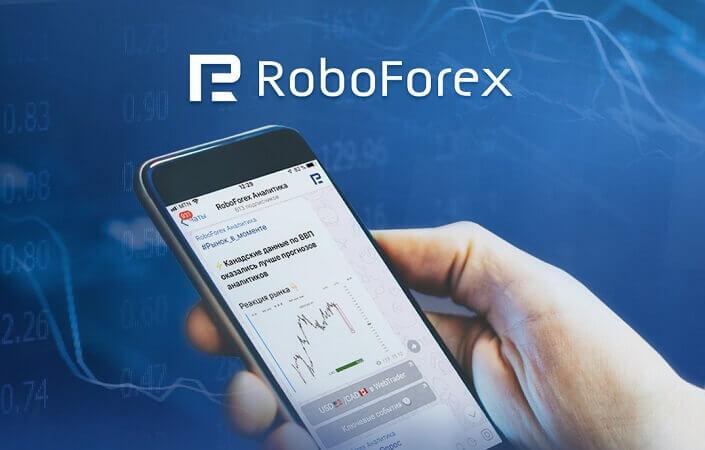 Все виды программ от Робофорекс в одной статье