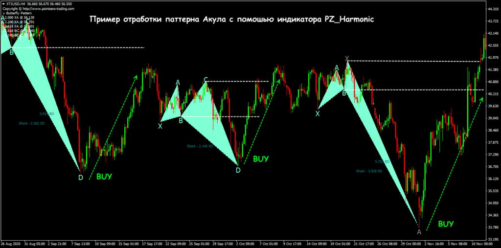 паттерн акула