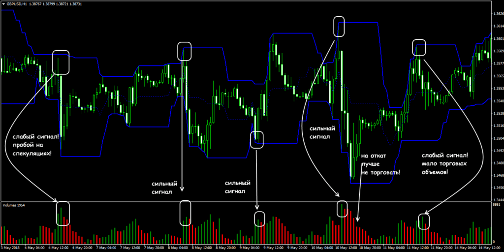 суп из черепах