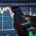 Обзор бинарного брокера EvoTrade – особенности работы с компанией для успешного трейдинга