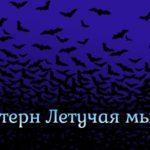 Паттерн «Летyчaя мышь» — практические рекомендации для трейдеров