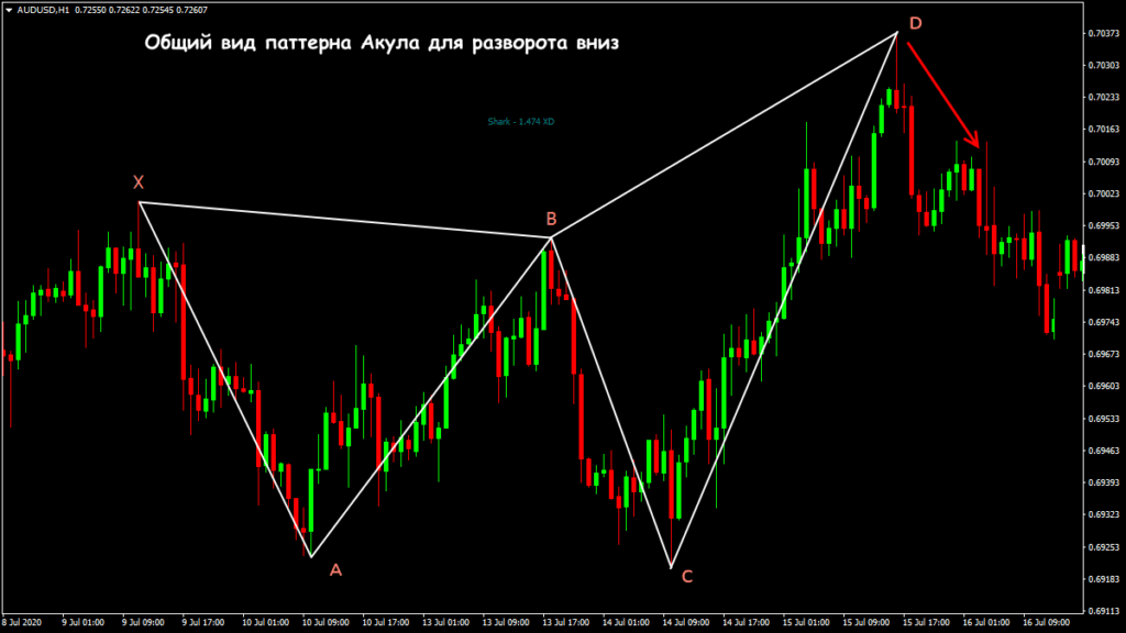 общий вид паттерна акула