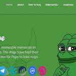 Обзор на криптовалюту ПЕПЕ (PEPE)