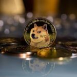 Полный обзор криптовалюты Dogecoin: что это, где купить и продать