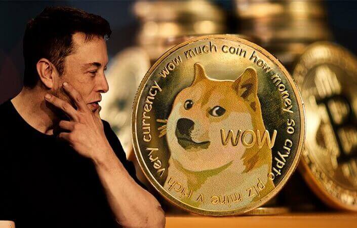 догикоин и маск