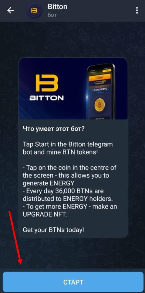 bitton bot