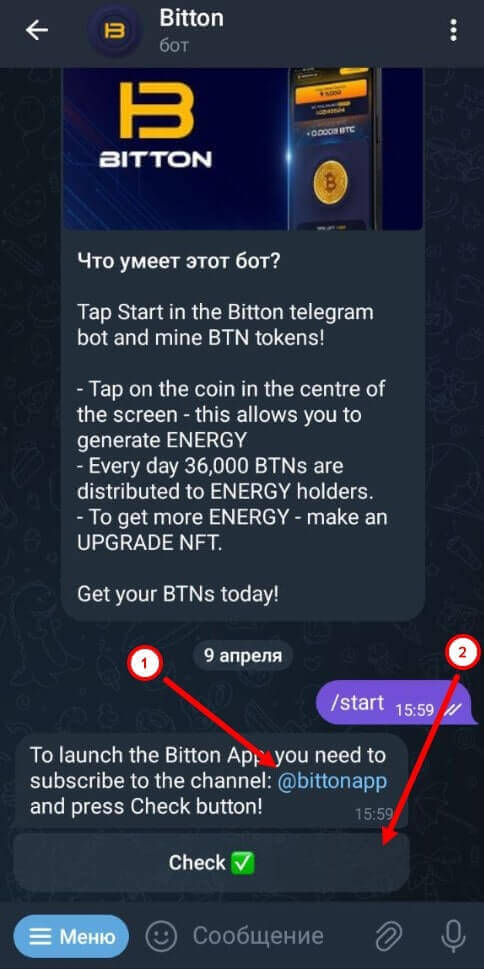 запуск бота