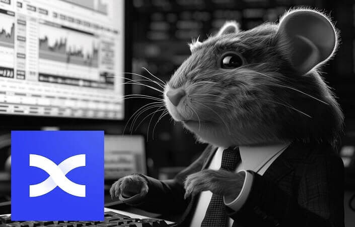 листинг хомяка