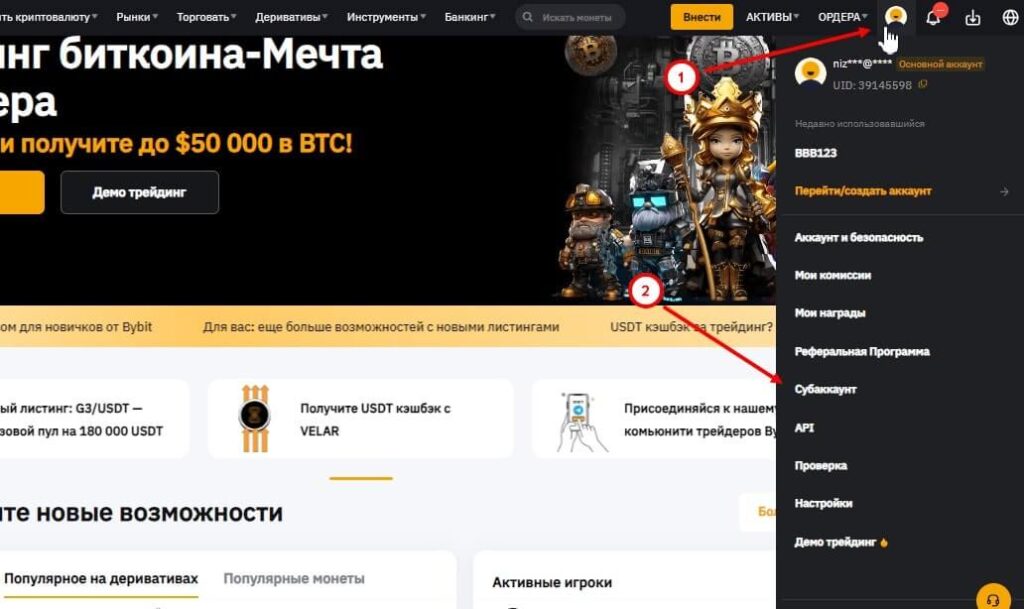 раздел субаккаунт