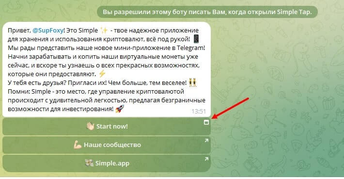 запуск бота