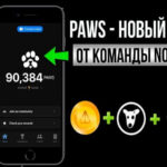 PAWSOG bot в Telegram