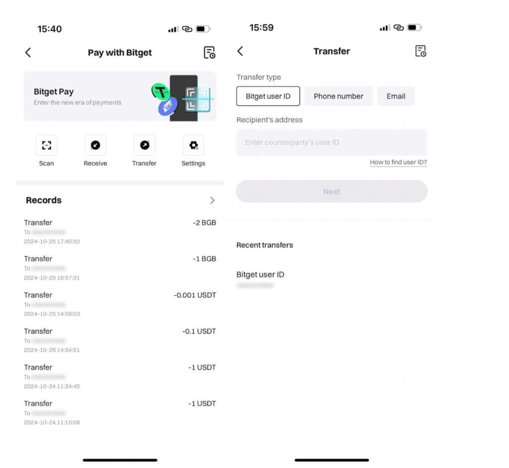 перевод битгет пей