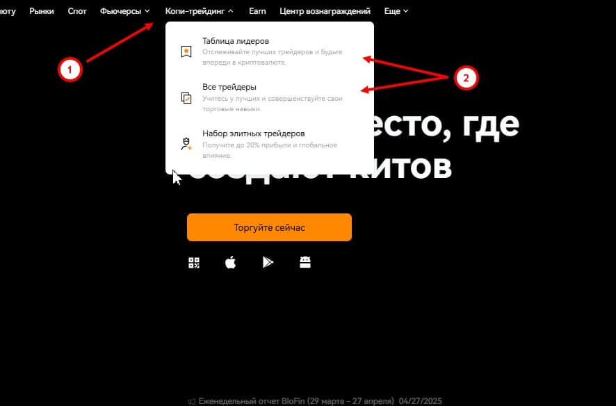 копи трейдинг blofin