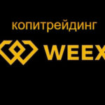 Копитрейдинг на криптобирже Weex
