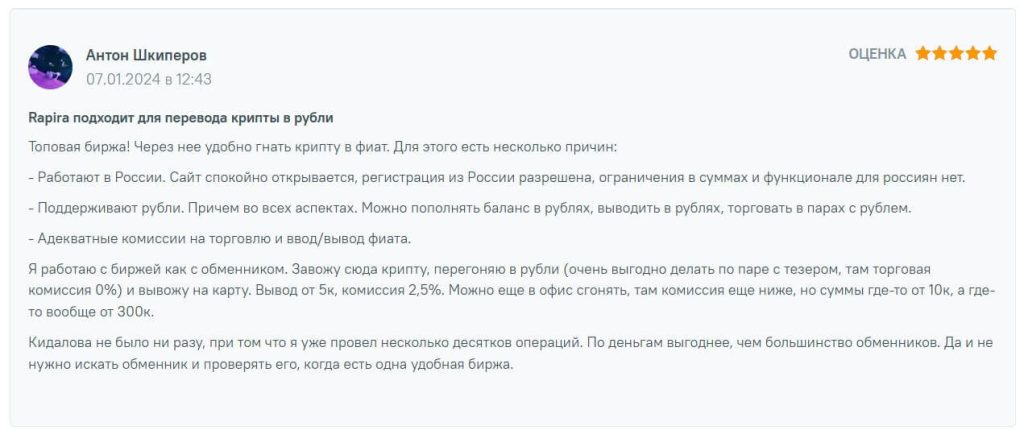 отзыв о переводах rapira