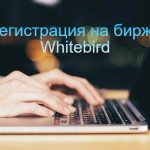 Инструкция для новичков по регистрации Whitebird