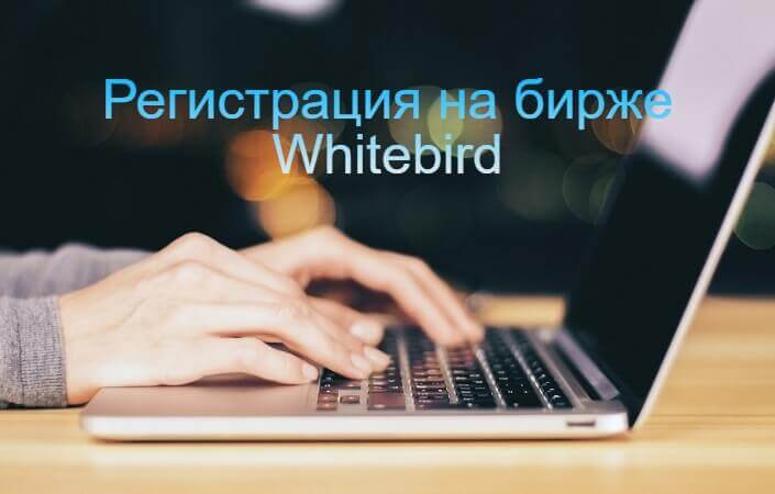 регистрация уайтберд