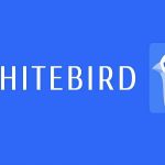 Обзор отзывов о Whitebird: плюсы и минусы биржи